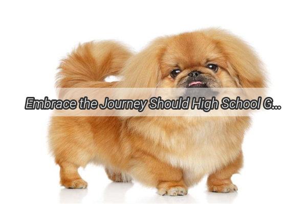 Embrace the Journey Should High School Graduates Consider a Furry Friend